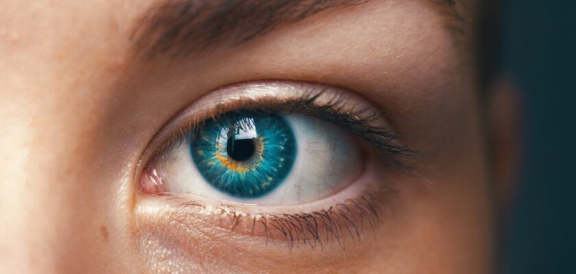 Which Fruit Strengthens The Eyes Health Prepper